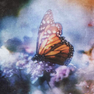 美女被打白嫩屁股女大学生
