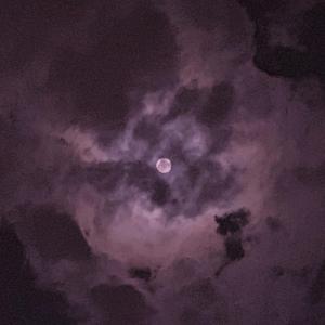 美女被打白嫩屁股女大学生
